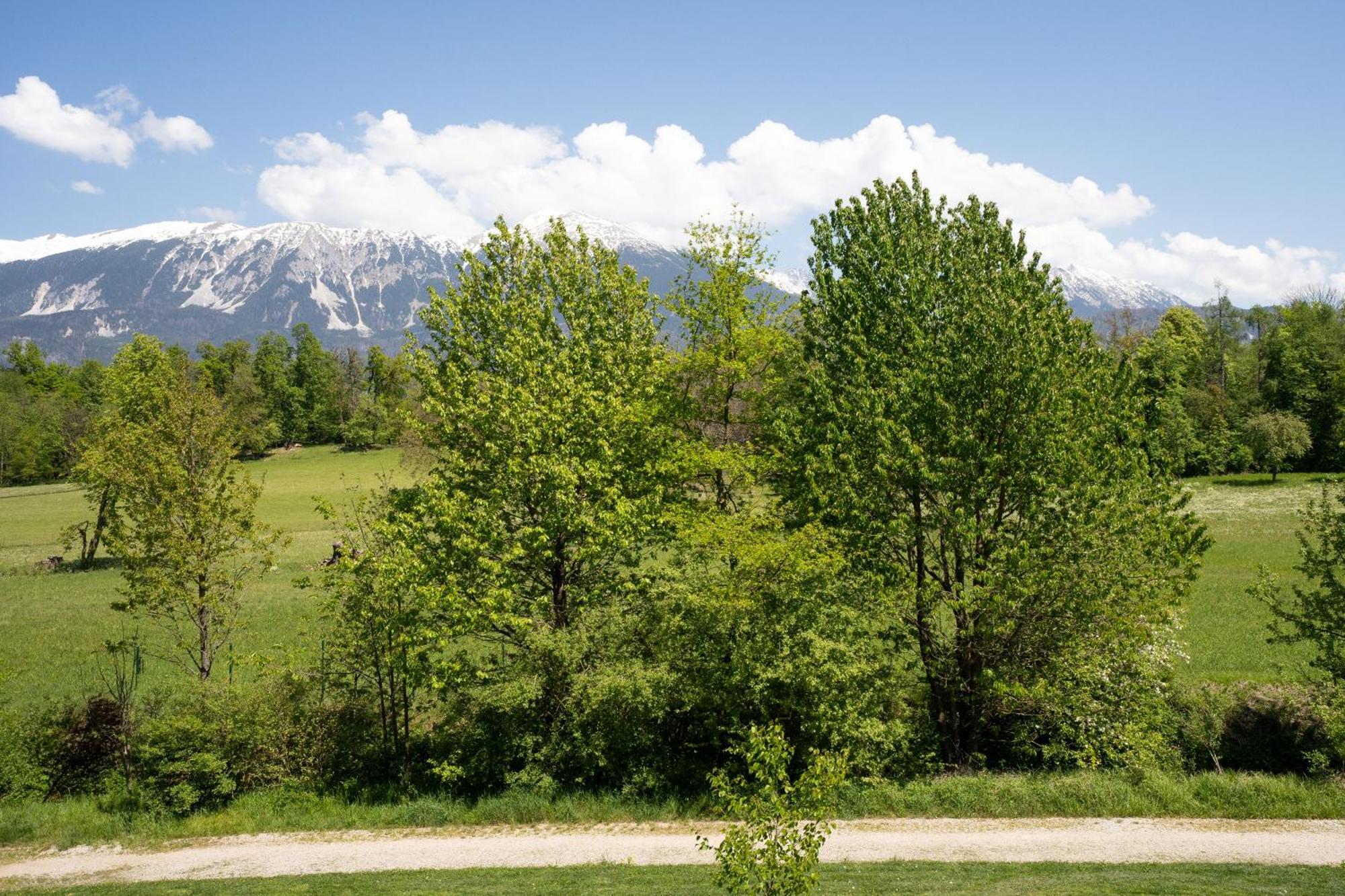 Mountain Suite Jula Bled Esterno foto
